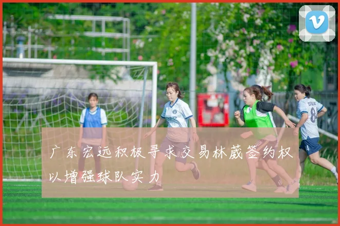 广东宏远积极寻求交易林葳签约权以增强球队实力
